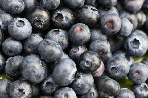 Heidelbeeren.