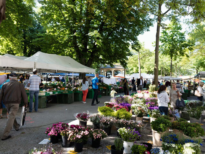Markt am Bürkliplatz